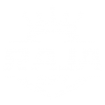 raja567_logo